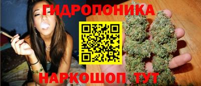 бошки Пугачёв